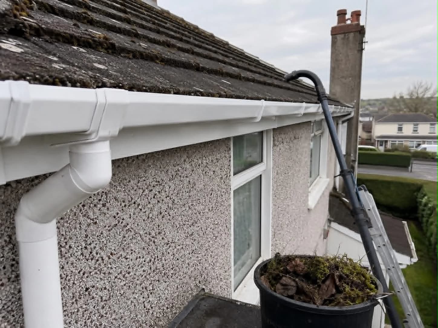 Gutter vacuum clearing moss and leaves from a home in Coleraine